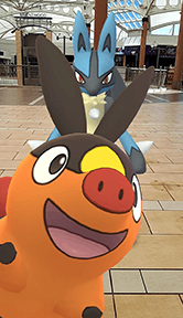 Lucario and Tepig from Pokemon Go